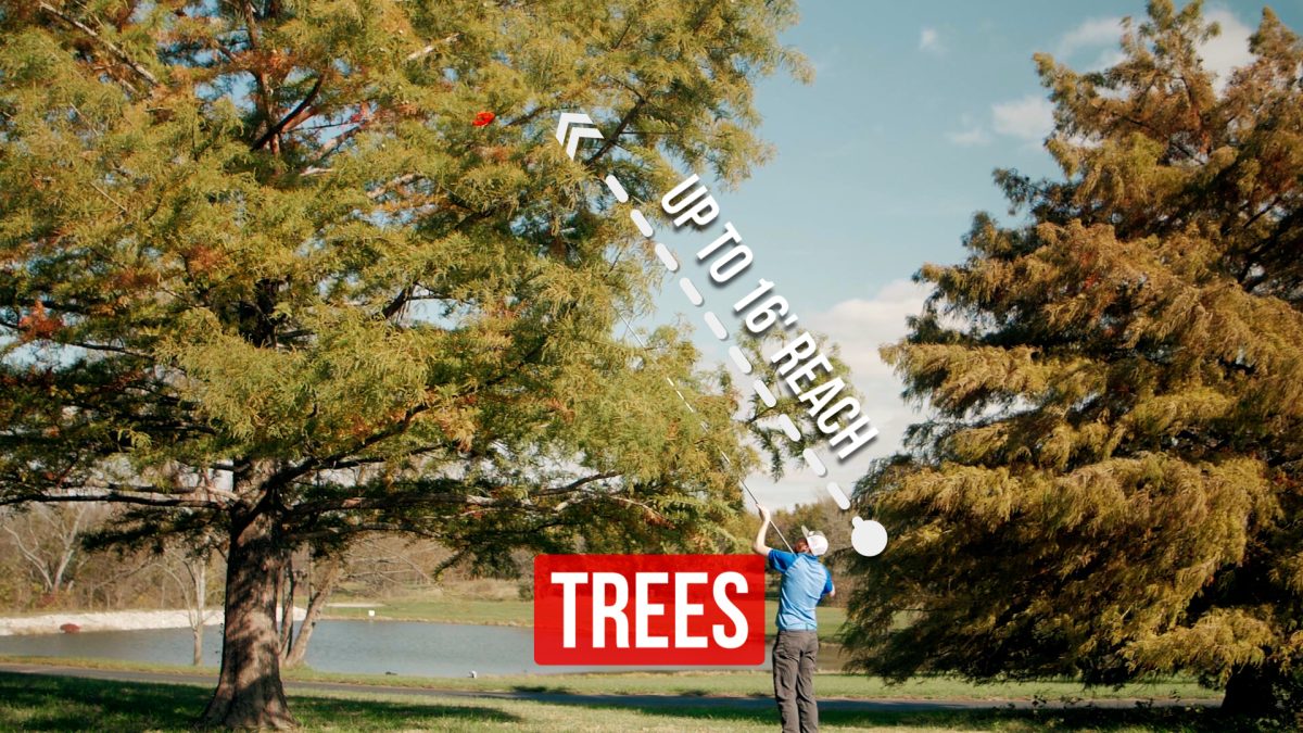 Disclaimer Disc Retriever - Trees