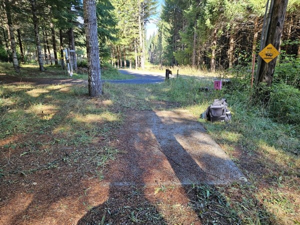 Another Bear Creek DGC - Tonn's Travels