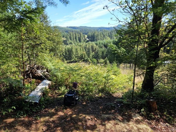 Another Bear Creek DGC - Tonn's Travels