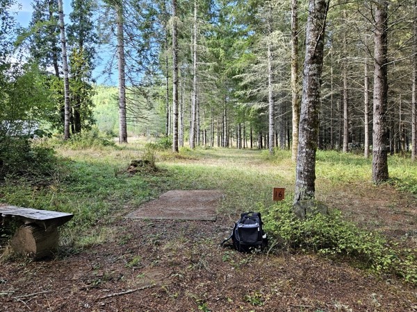 Another Bear Creek DGC - Tonn's Travels