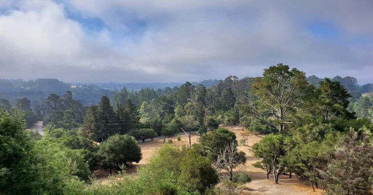 Chain Mail | May 2025