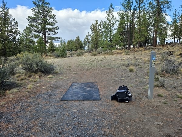 Central Oregon Community College (Cascade Forest) - Tonn's Travels