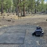 Central Oregon Community College (Cascade Forest) – Tonn’s Travels