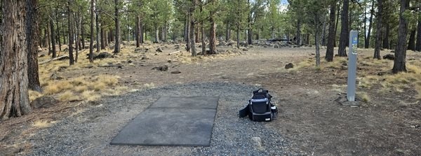 DGA Disc Golf Equipment & Education