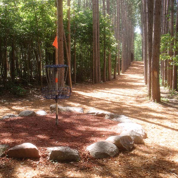 DGA Mach 5 Powder Coated Target in Forested Disc Golf Course