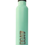 DGA 25oz Insulated Water Bottle
