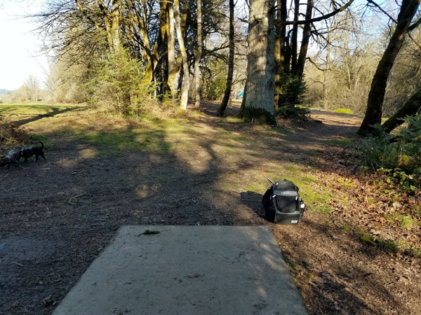 Disc Golfing in Newberg, Oregon - Tonn's Travels