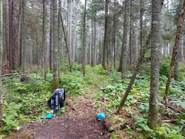 Course Collecting on the Iron Range - Tonn's Travels Course Collecting on the Iron Range - Tonn's Travels