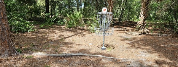 DGA Disc Golf Equipment & Education