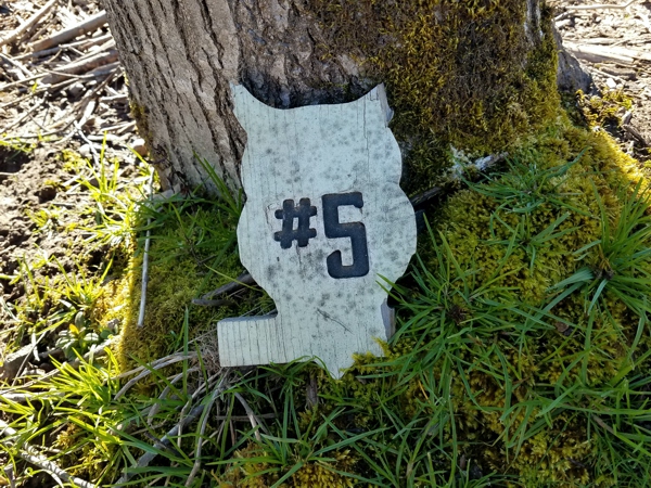 The Hoot - Tonn's Travels