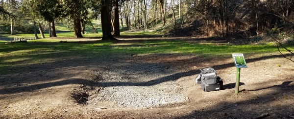 Read more about the article Disc Golfing in Newberg, Oregon – Tonn’s Travels
