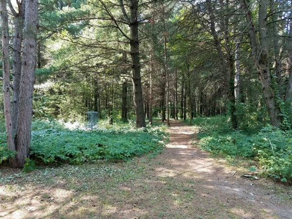 Pennies, Nickels and Dimes - Tonn's Travels Pennies, Nickels and Dimes - Tonn's Travels