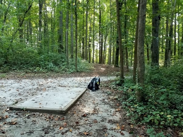 Back in the Triad - Tonn's Travels