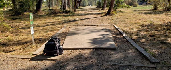 Read more about the article Checking Out the Disc Golf Scene in Eugene – Tonn’s Travels
