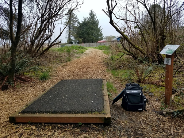 Bohannon DGC - Tonn's Travels