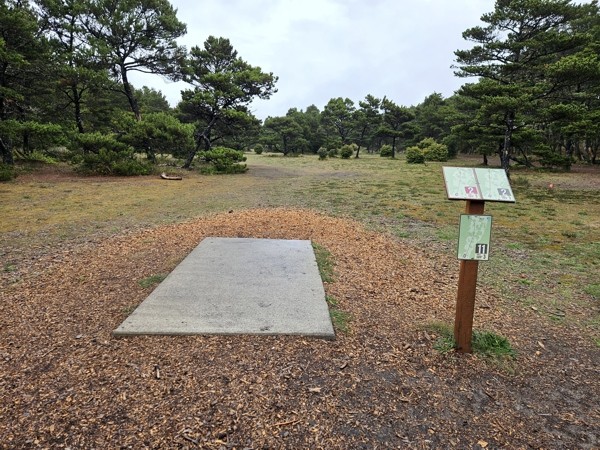 Two More Courses on the Oregon Coast - Tonn's Travels