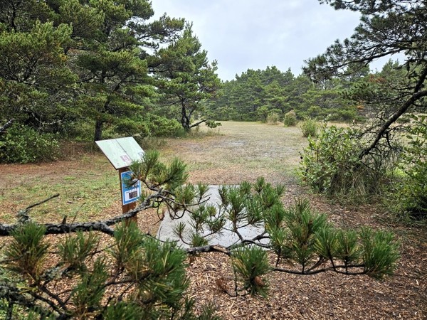 Two More Courses on the Oregon Coast - Tonn's Travels