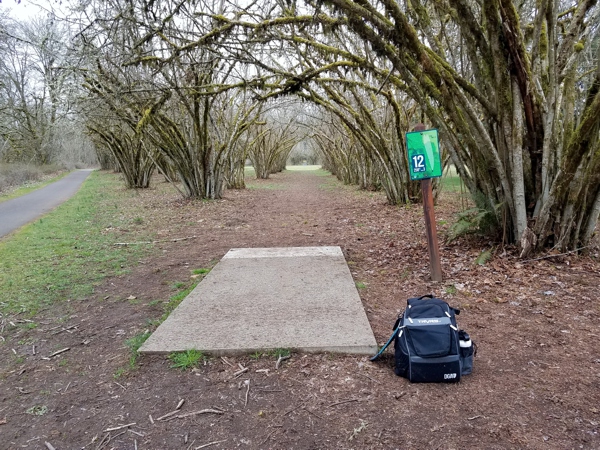 Disc Golfing with "Malum" - Tonn's Travels